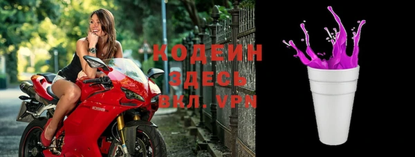 крисы Сатка