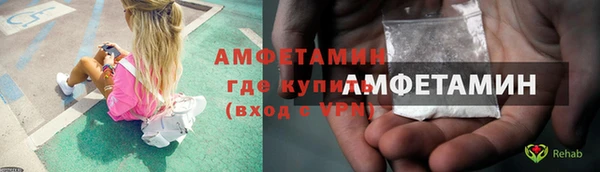 крисы Сатка
