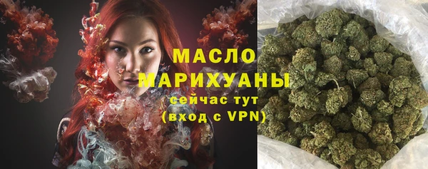 крисы Сатка