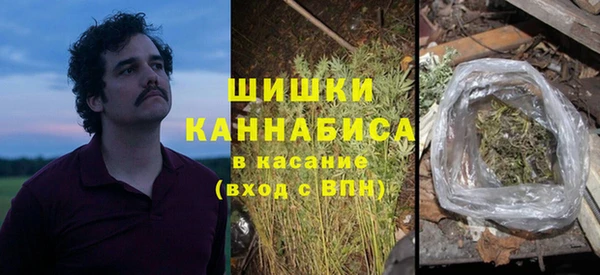 ПСИЛОЦИБИНОВЫЕ ГРИБЫ Абаза
