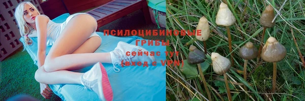 эйфоретик Абдулино