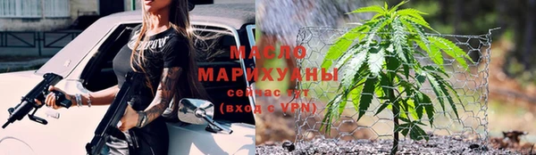 крисы Сатка