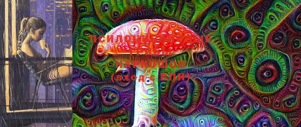 крисы Сатка