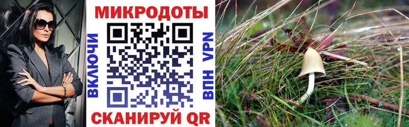 Галлюциногенные грибы GOLDEN TEACHER  Карабаново 